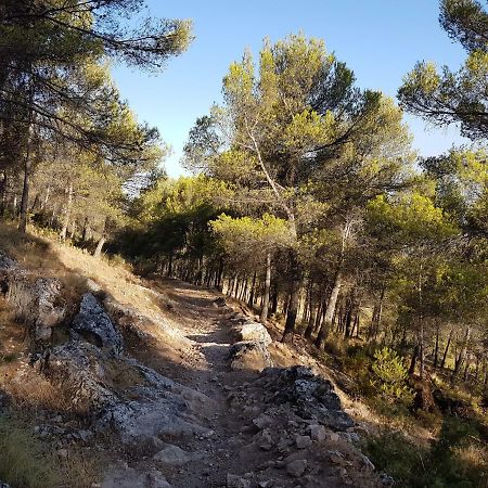 Apartamentos Rurales La Dehesa Del Acebuche ハエン エクステリア 写真