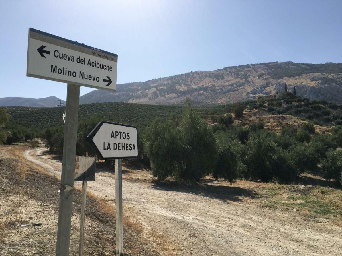 Apartamentos Rurales La Dehesa Del Acebuche ハエン エクステリア 写真